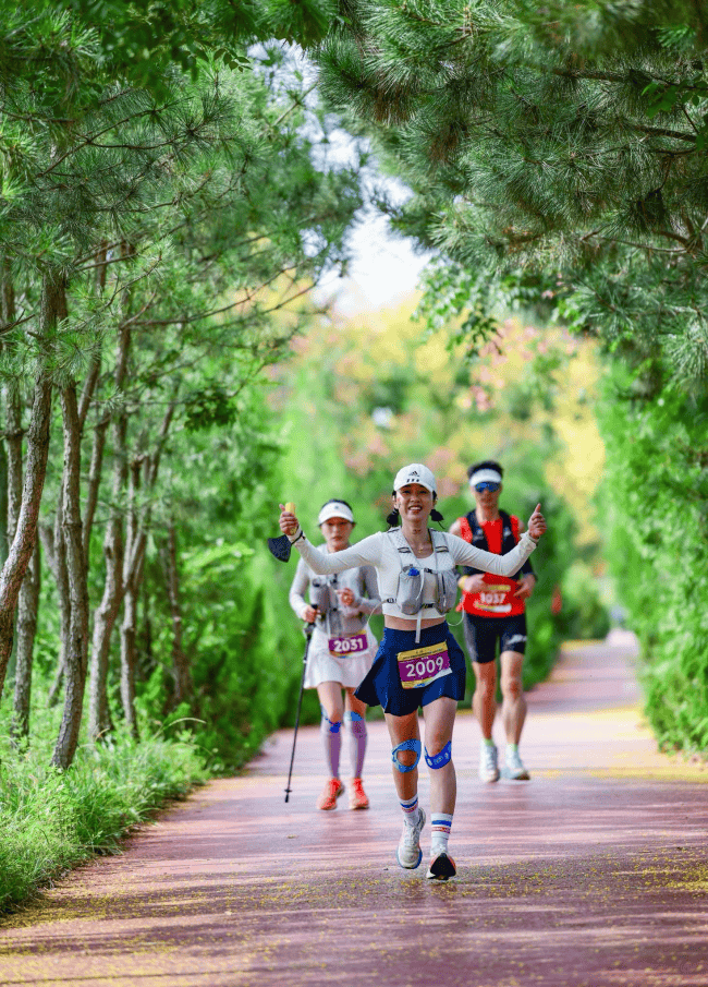 一步一景 一步一景